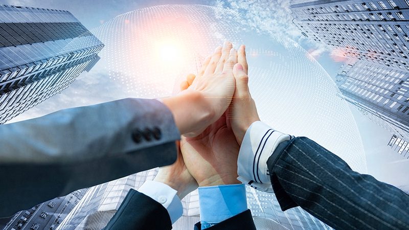 农业可行性研究报告分类解析