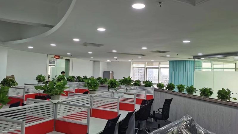 风险分析案例：如何构建可行性报告与合理报价