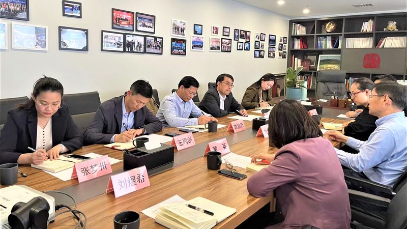组织架构咨询案例分析：解码企业高效运营的密码